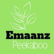 Blogs by Emaans Peekaboo